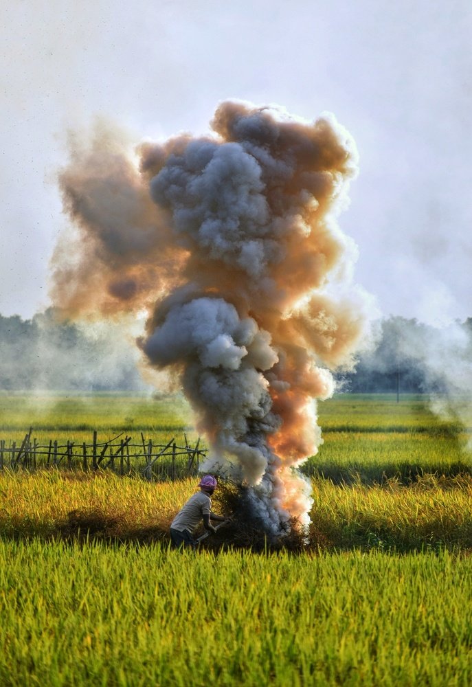 Photograph by  Asamanj Maiti