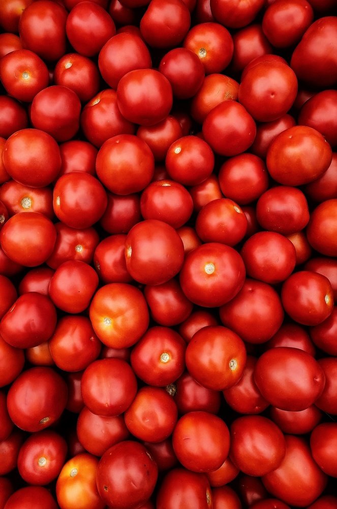 Photograph by  Asamanj Maiti