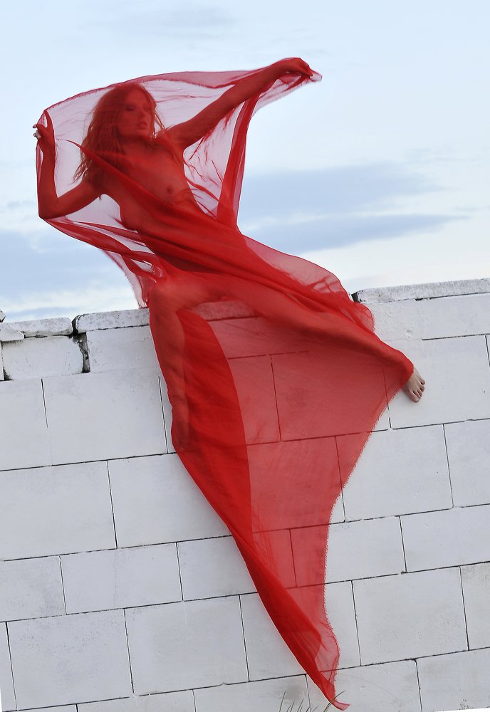 Фотография автора Михаил Пшеннов