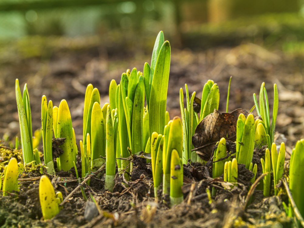 Photograph by Victor Pruhnitskiiy