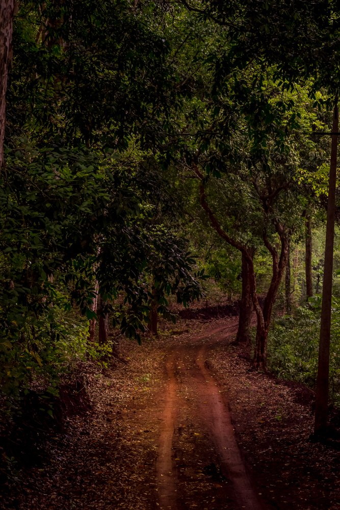 Photograph by Dinesh