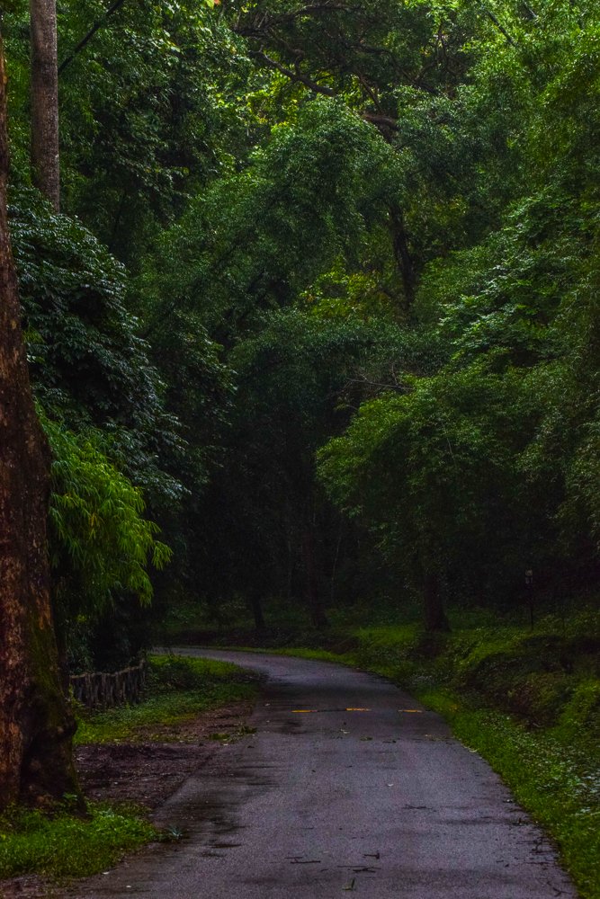 Photograph by Dinesh