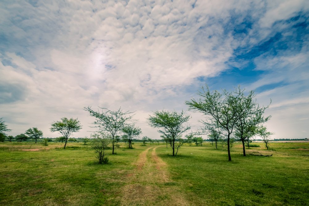 Photograph by Dinesh