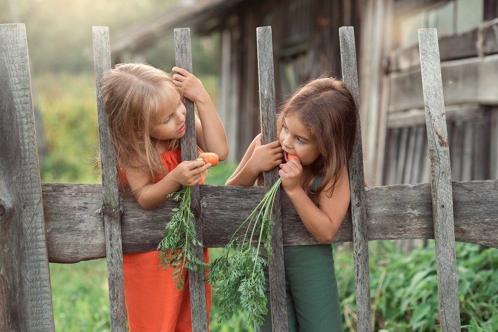 Photograph by Альфия Зотова