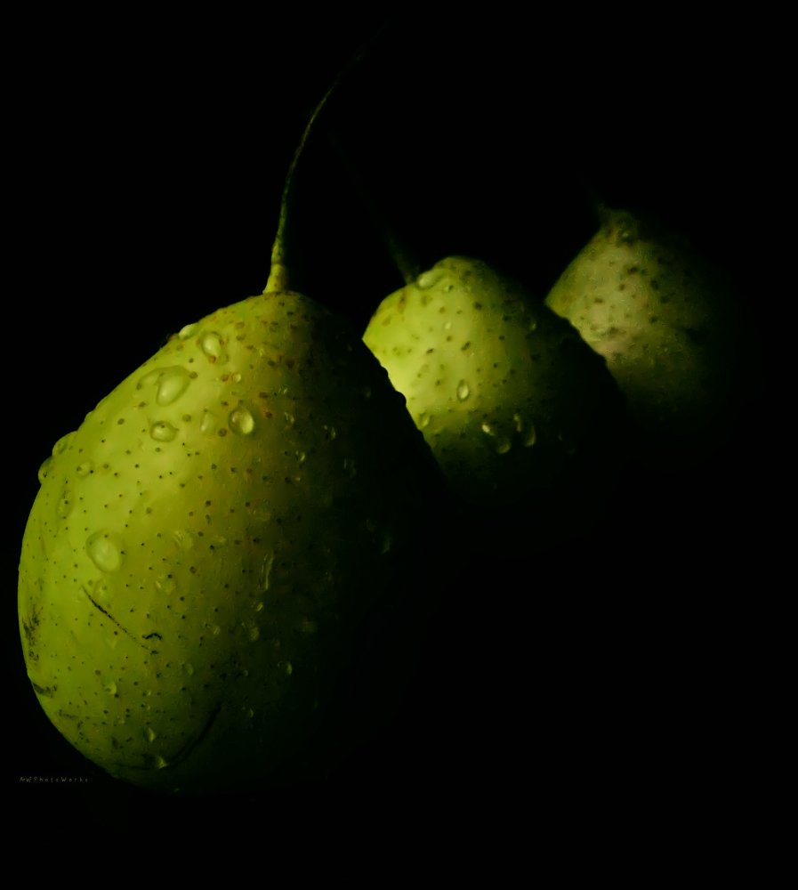 Photograph by  Gallery arief