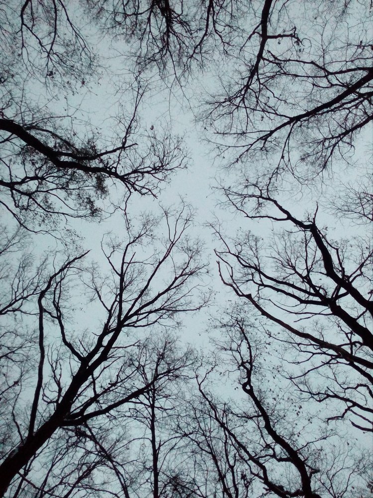 Photo #3780339