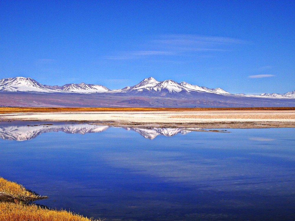 Laguna Cejar
