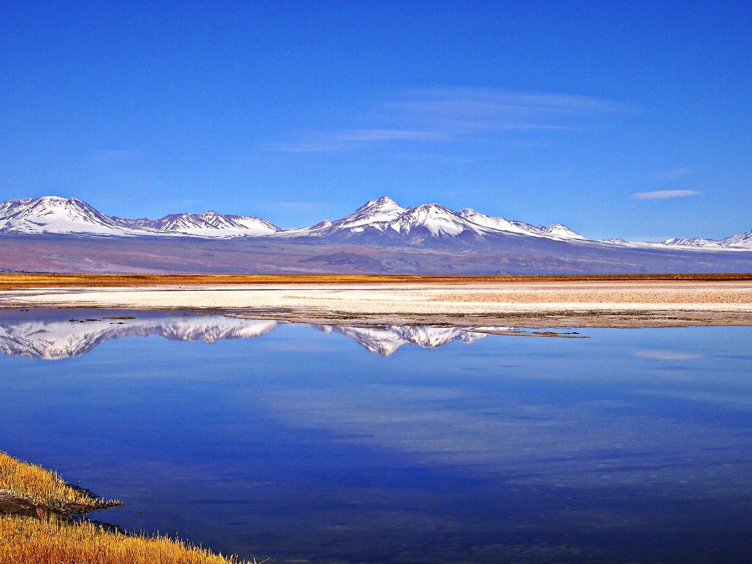 Laguna Cejar