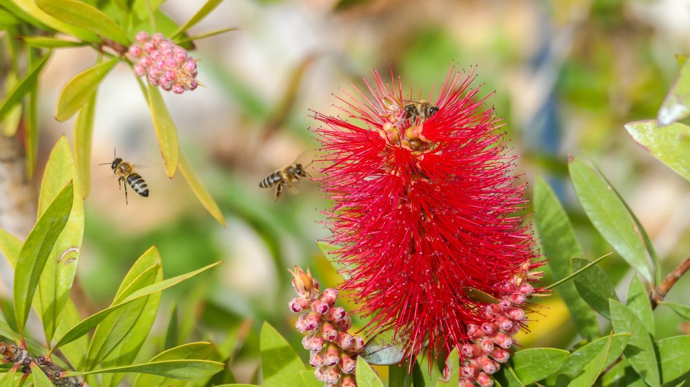 Photograph by АНДРЕЙ