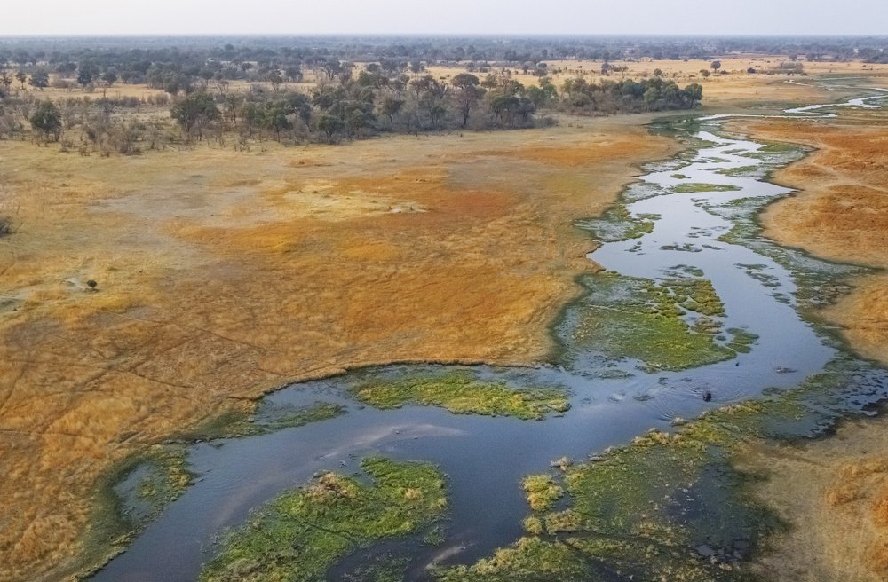 Photograph by THEODORE MATTAS