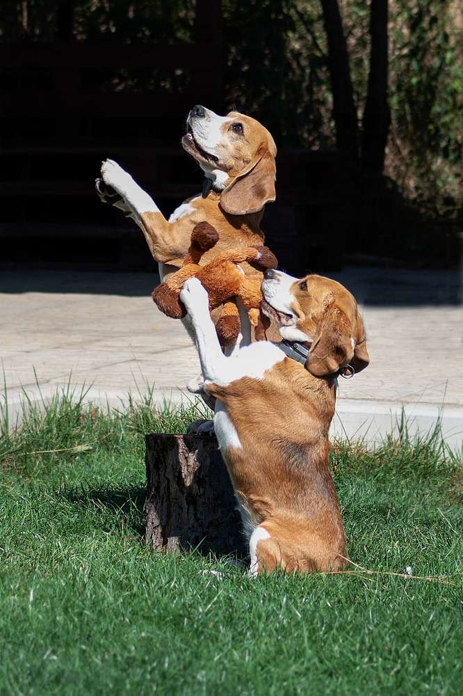 Photograph by Александра Калиниченко