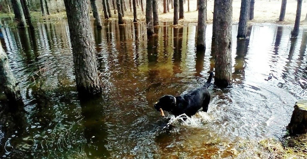 Photograph by Лариса Капустина