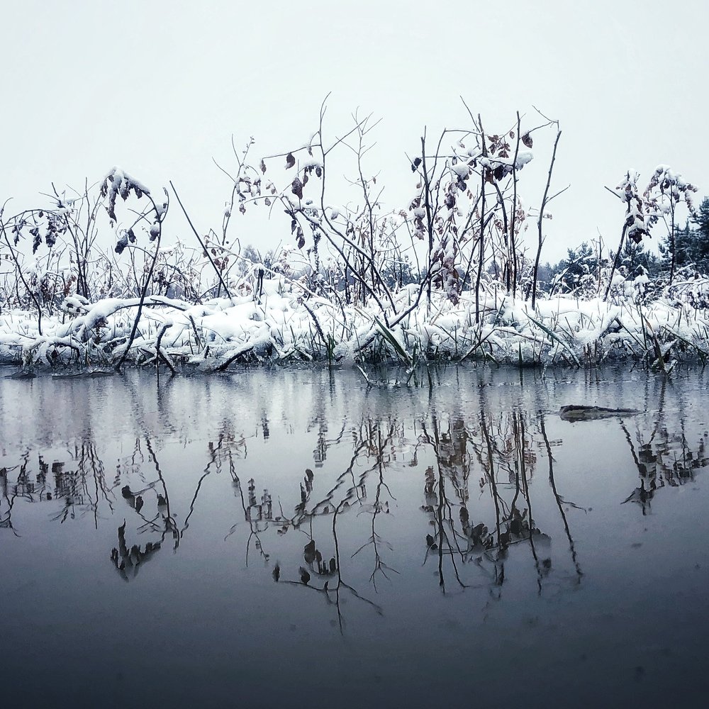 Photograph by Ilyas Adilbayev