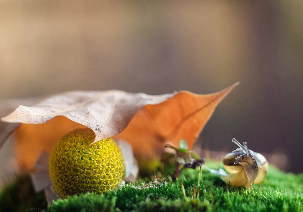 В сохранности