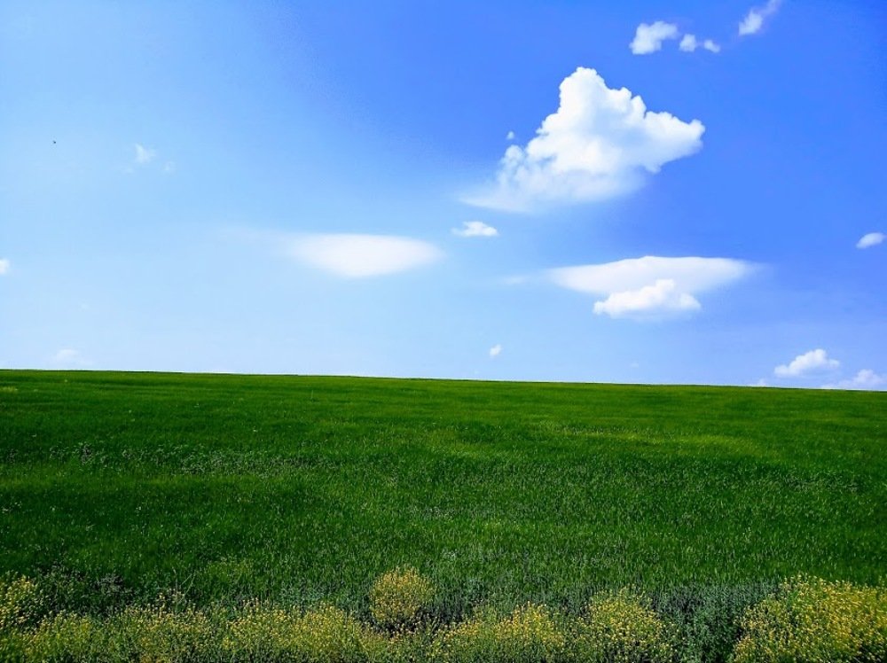 Photograph by Лариса Капустина