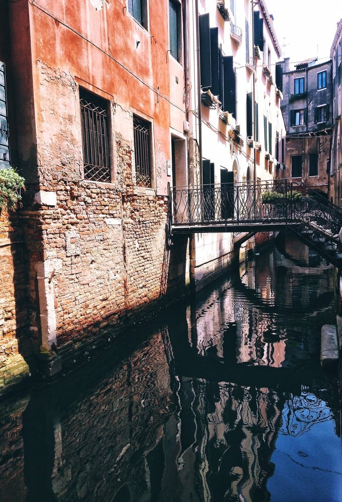 Фотография автора Найденова Алина