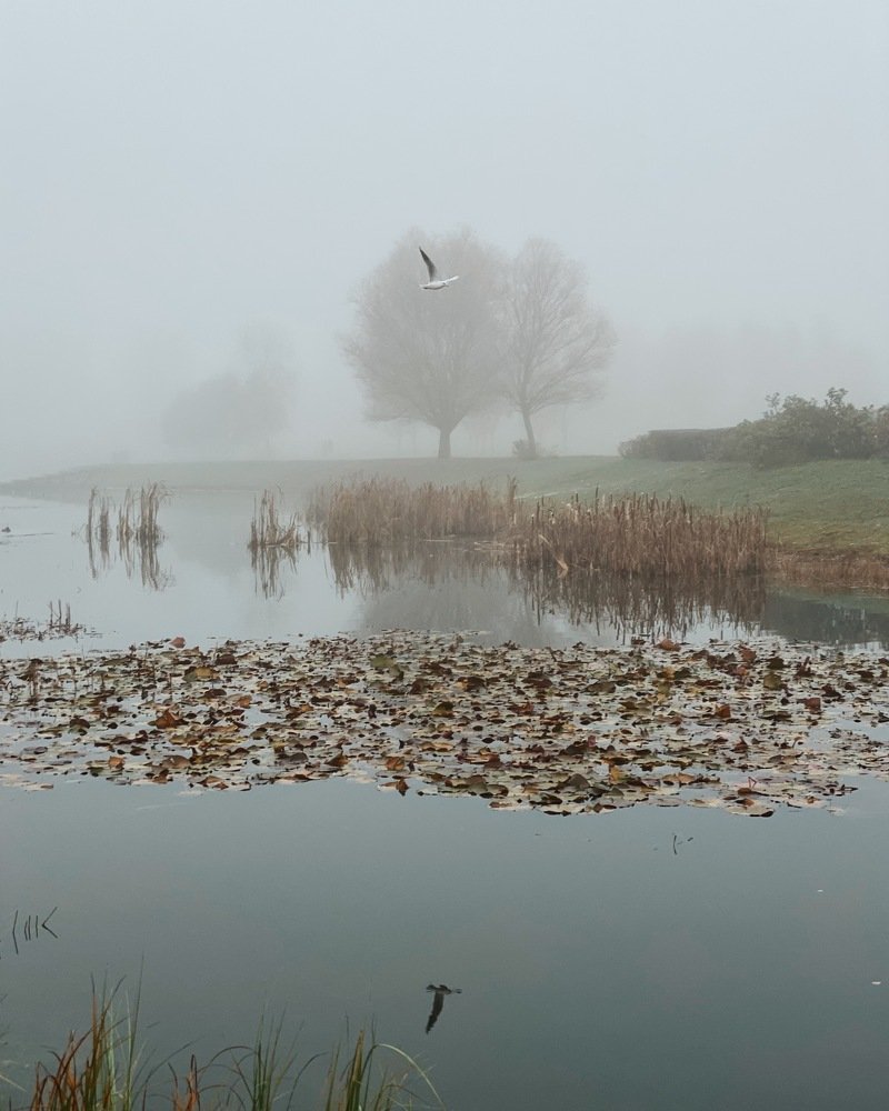 Photograph by Nastja Asipkina