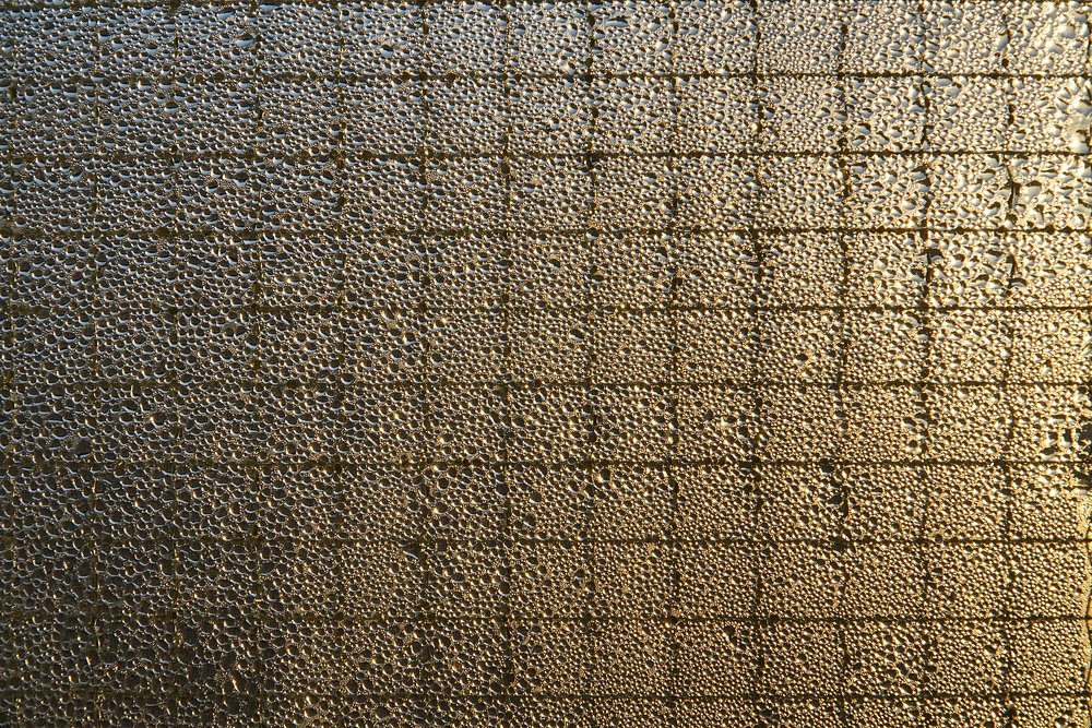 Photograph by Nastja Asipkina