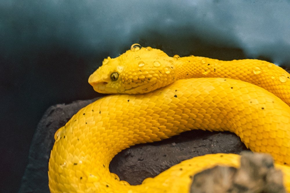 Photograph by Мария Причиненко