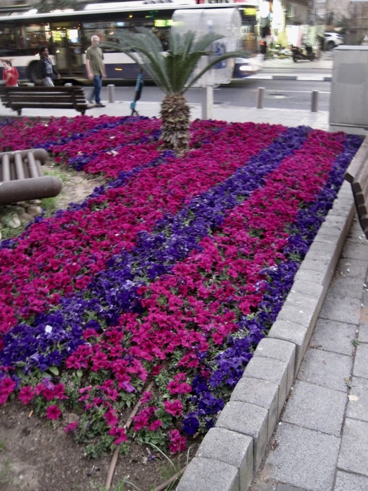 Photograph by Albert Russo