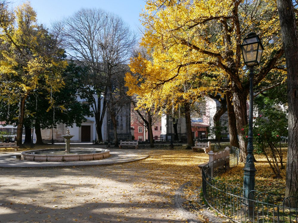 Photograph by Nastja Asipkina