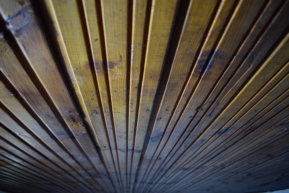 Photograph by Fereydoon ranjkesh