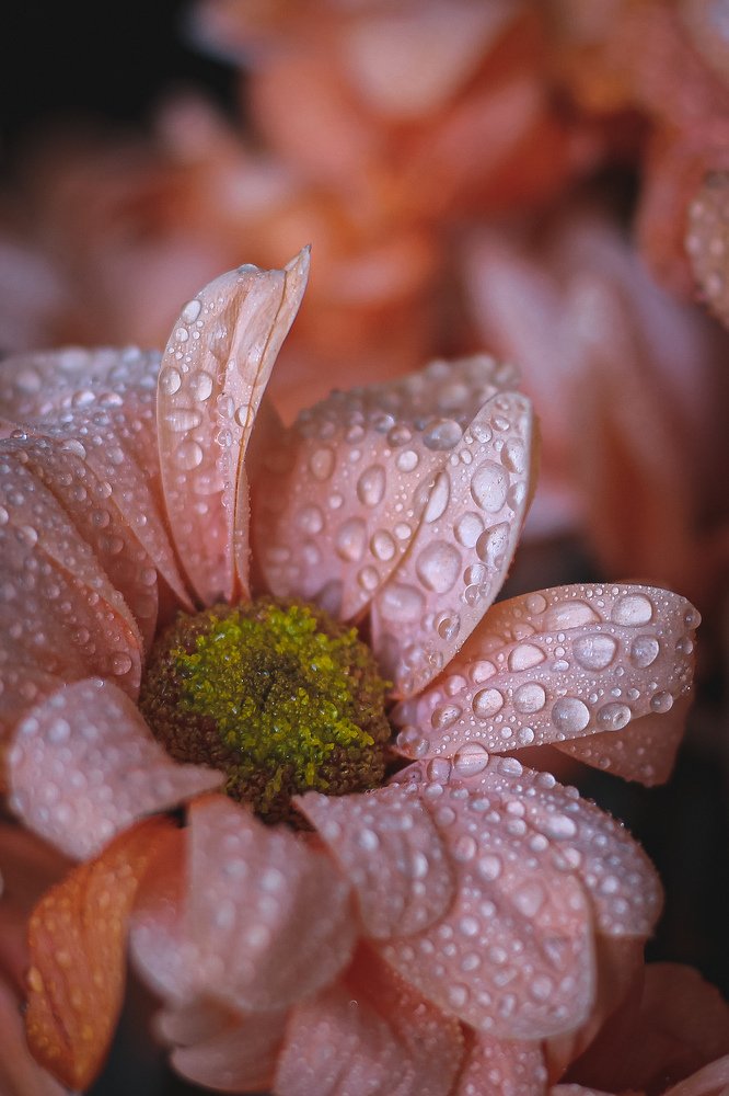 Photograph by Динара Вальчук