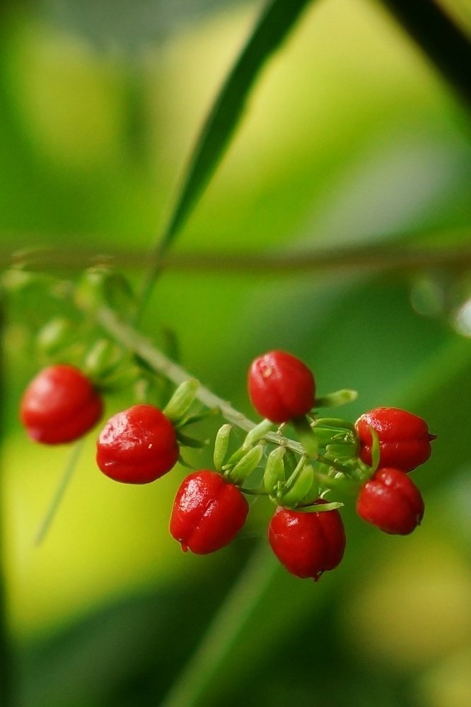 Photograph by Budhi Setiawan