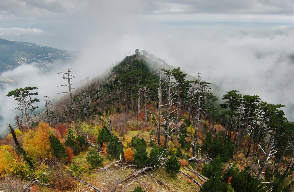 Крым.Кизил-Кая