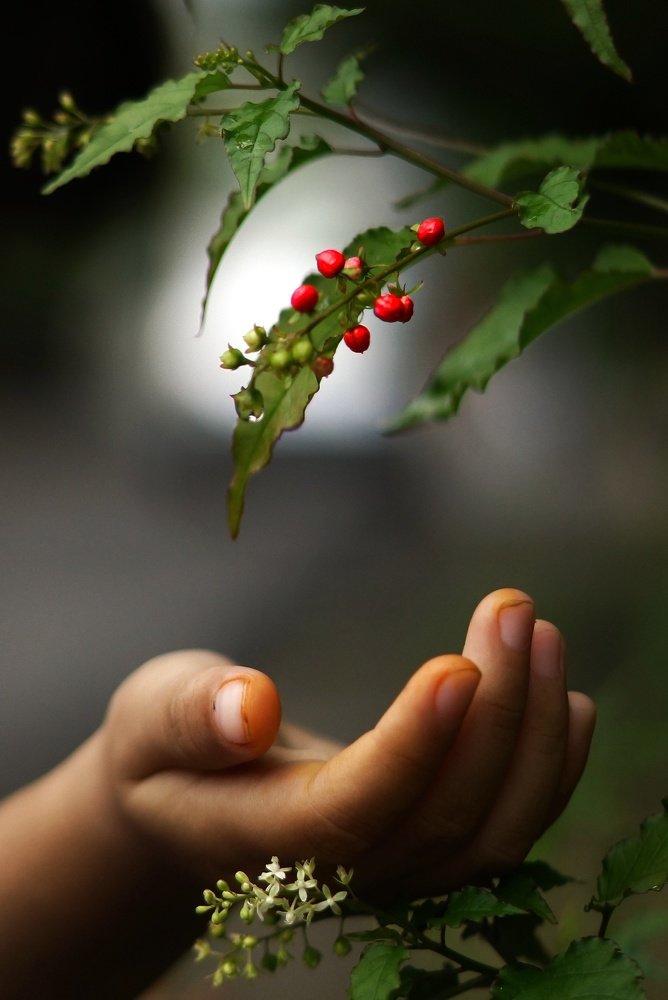 Photograph by Budhi Setiawan