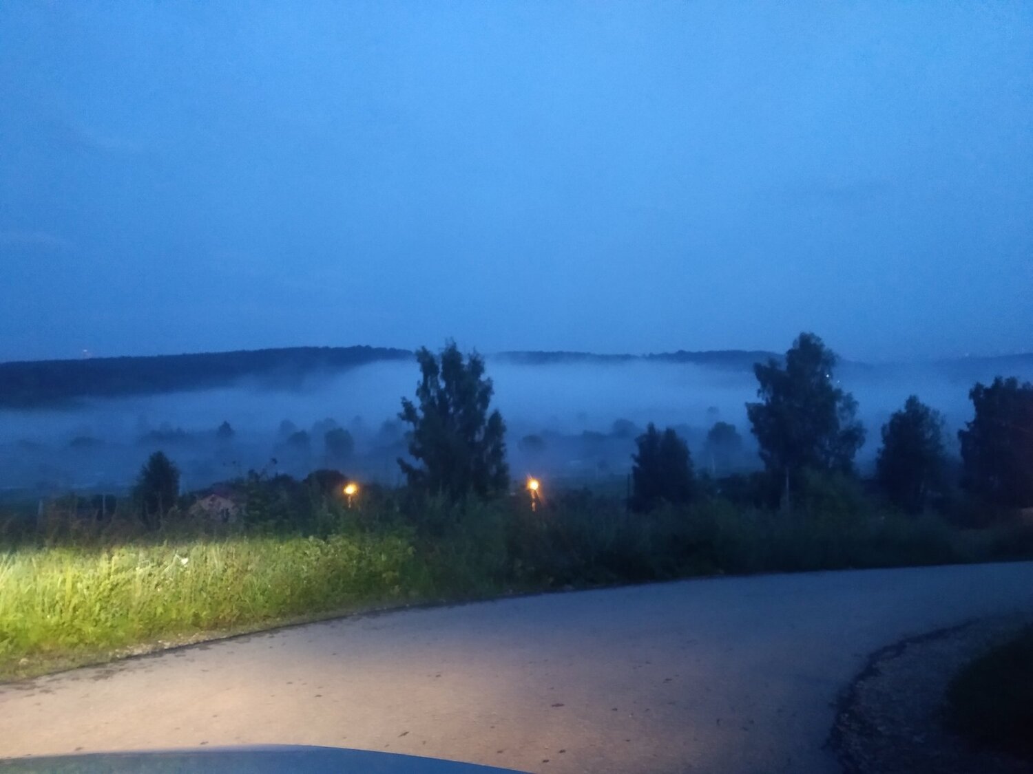 Photo #3781194