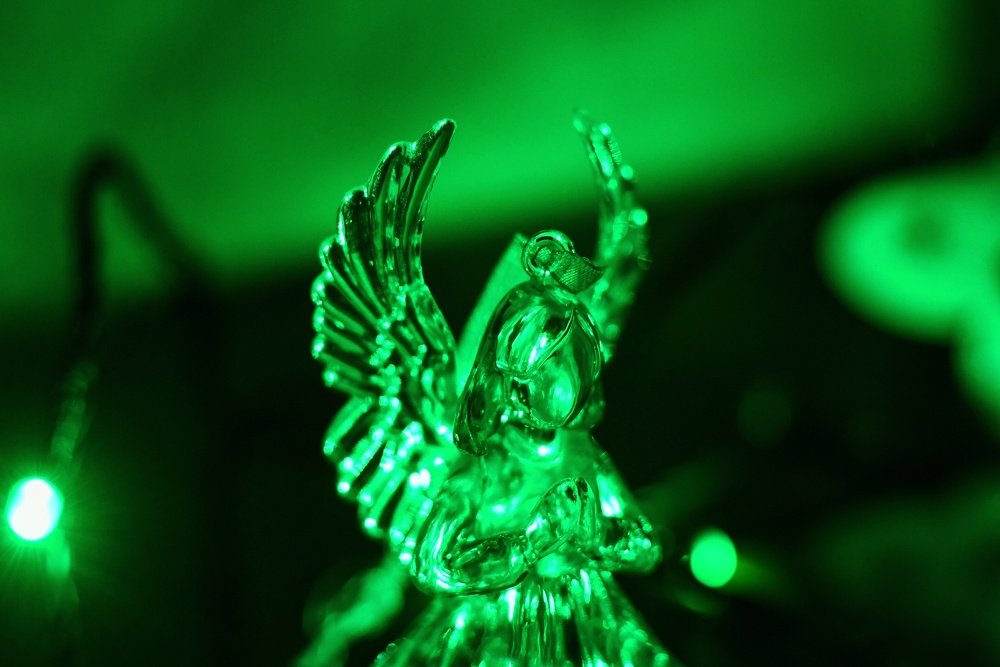 Photograph by Мария Дидковская