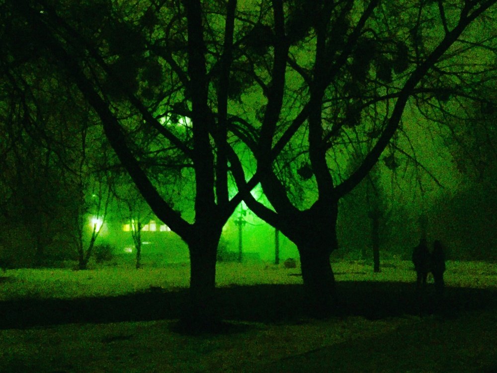 Photograph by Мария Дидковская