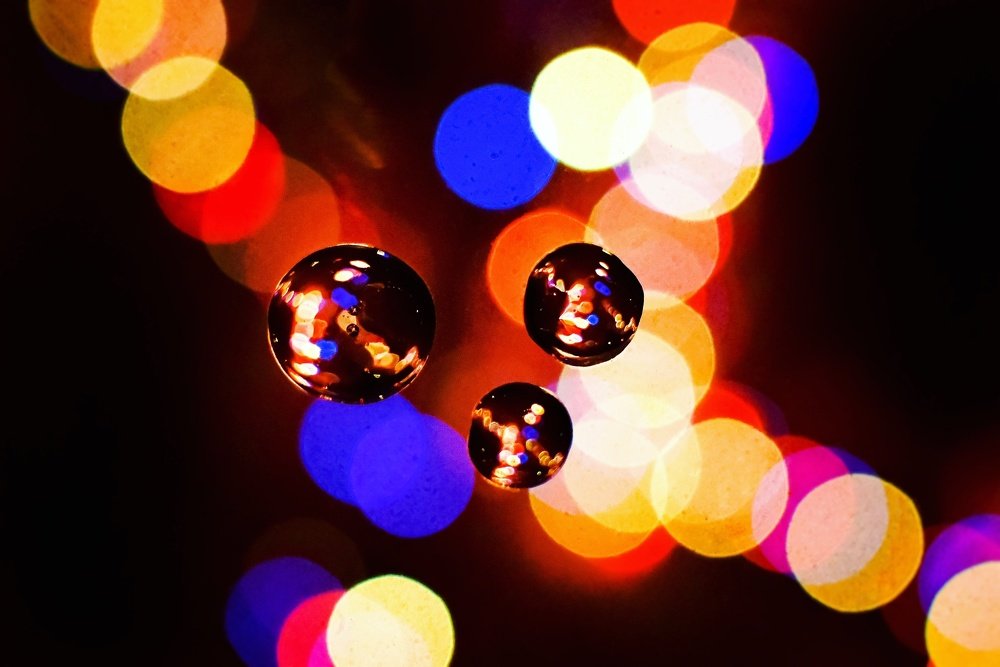 Photograph by Мария Дидковская