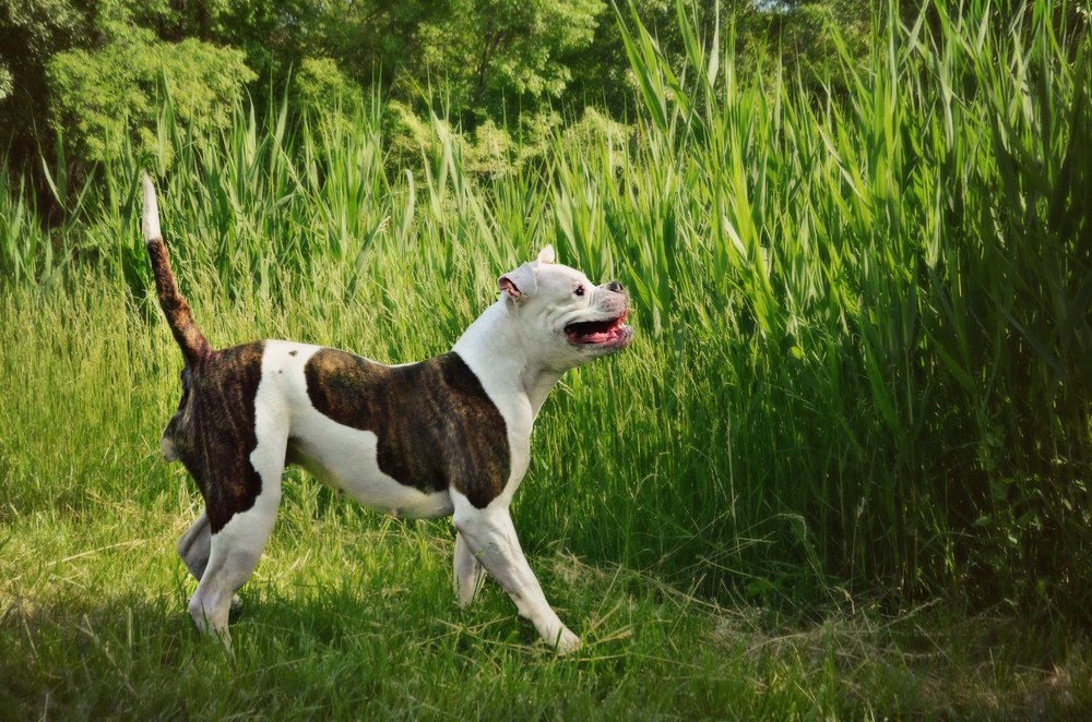 Photograph by Ира Балакова