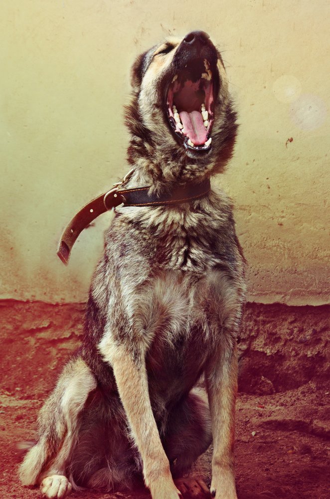 Photograph by Ира Балакова