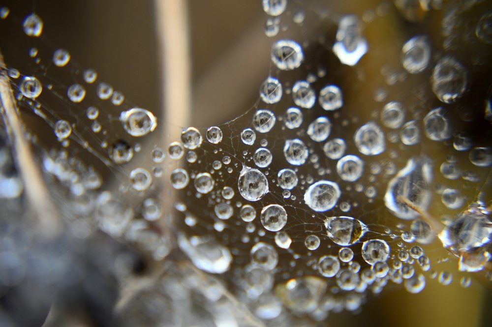 Photograph by Татьяна Калугина