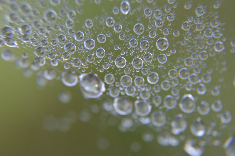 Photograph by Татьяна Калугина