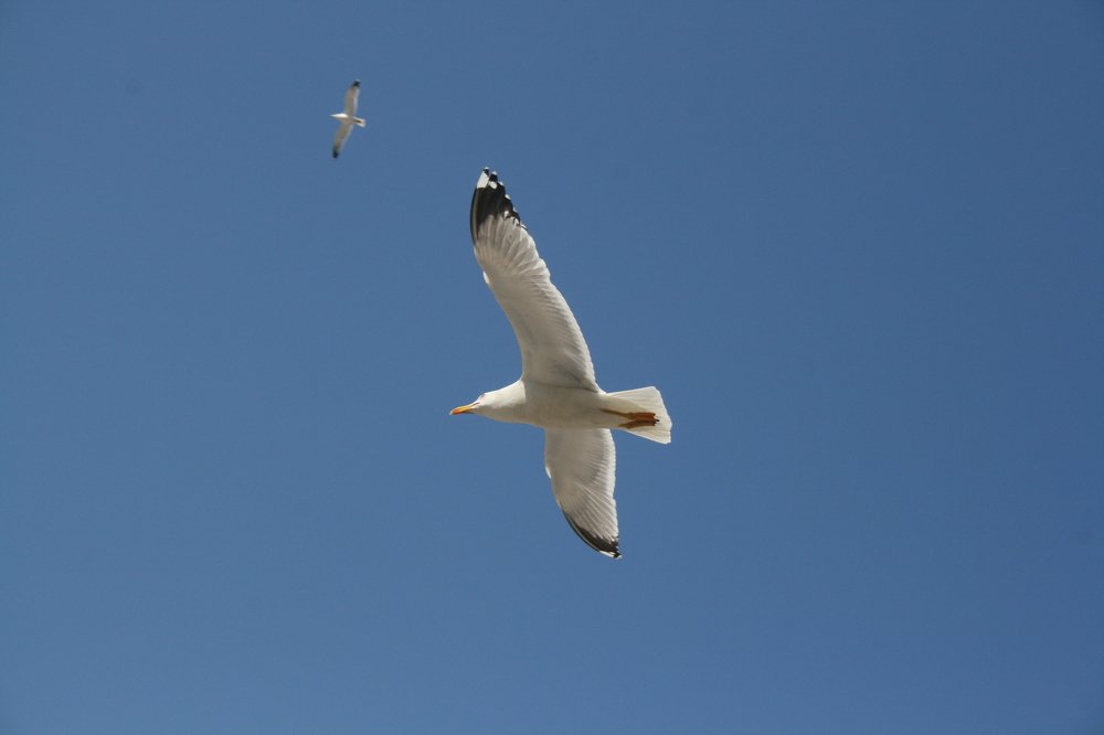 Photograph by Евгений Рабинович