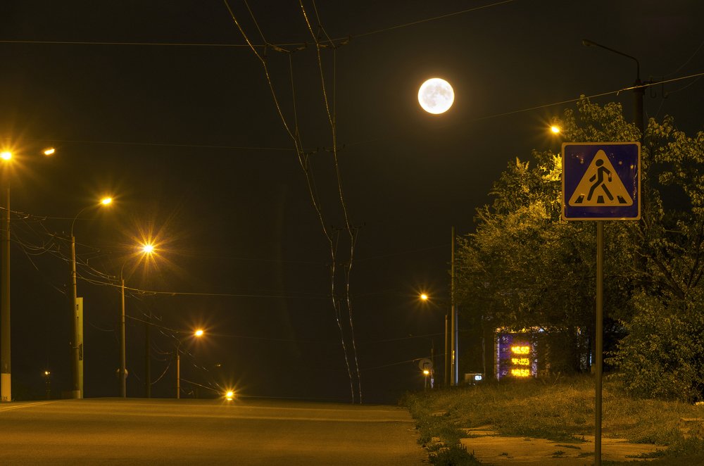 Прогулка в лунную ночь