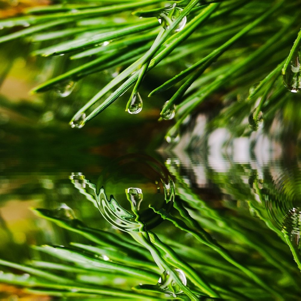 Photograph by Татьяна Чернышова