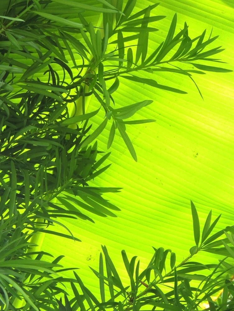 Photograph by Ionescu Stelian