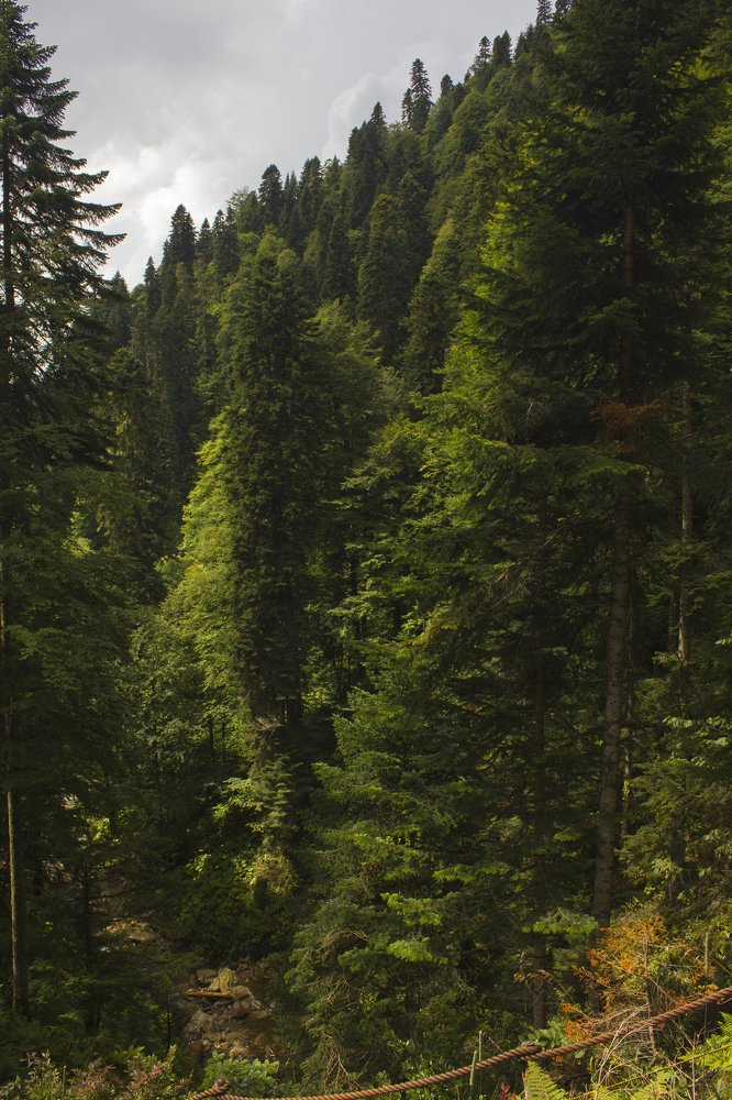 Photograph by Анастасия