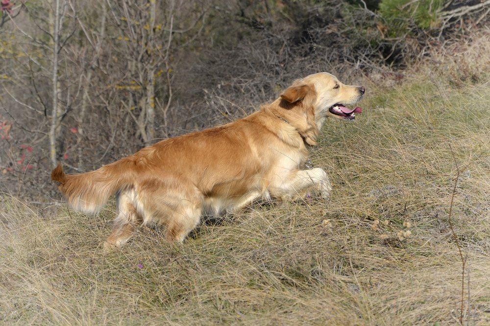 Photograph by Пилишенко Евгений