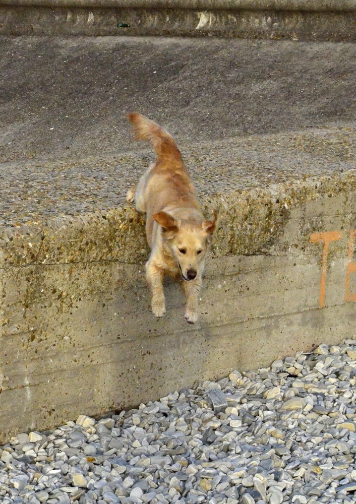 Photograph by Пилишенко Евгений