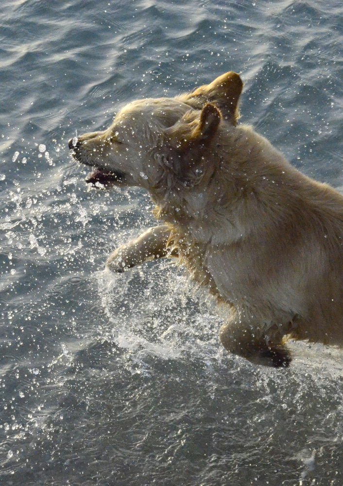 Photograph by Пилишенко Евгений