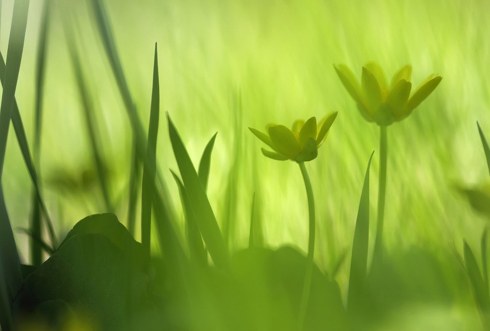 Photograph by Alexey Korolyov