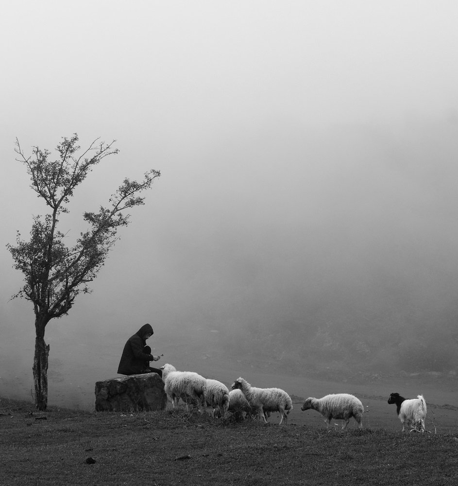 Photograph by Mojtaba Ranjkesh