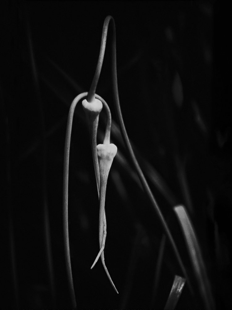 Фотография автора Юрий