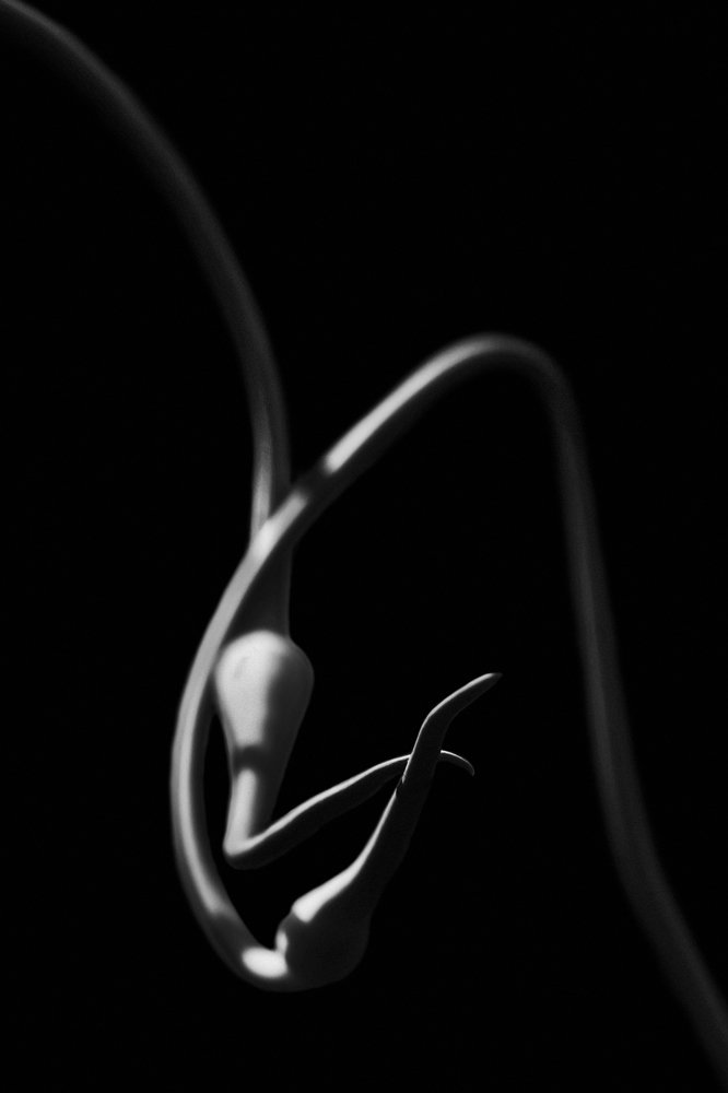 Фотография автора Юрий